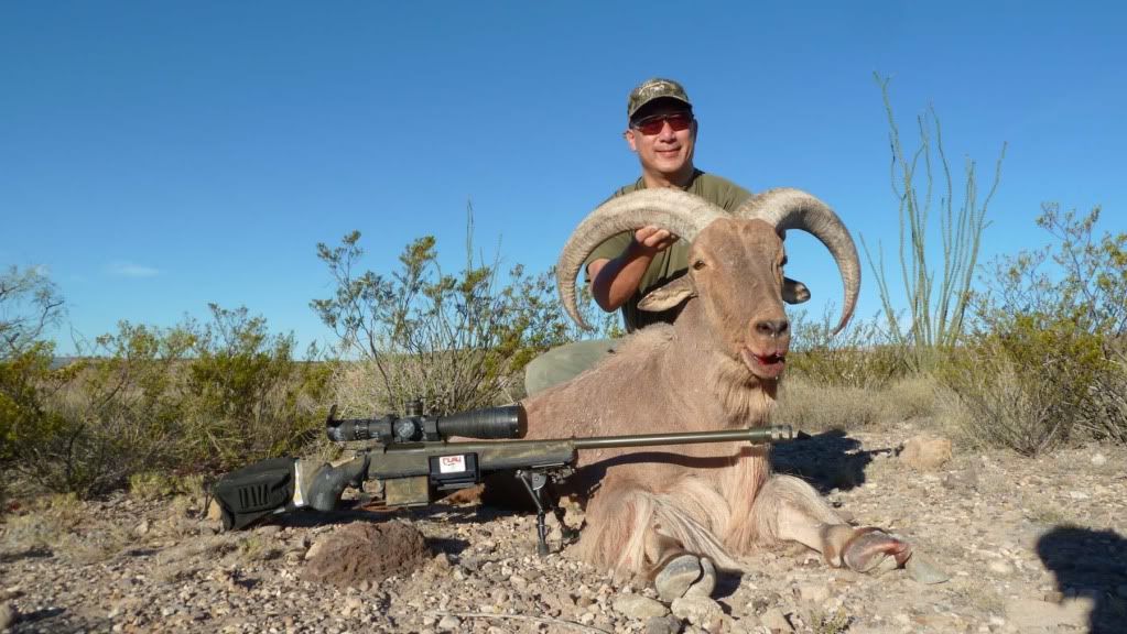 Aoudad250yards.jpg