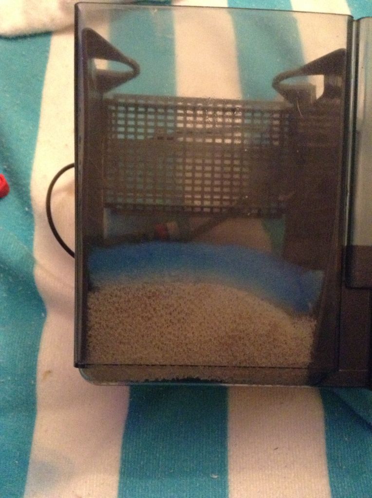 eb4b393ab3175f5d4836407b8beedb17_zps2b06