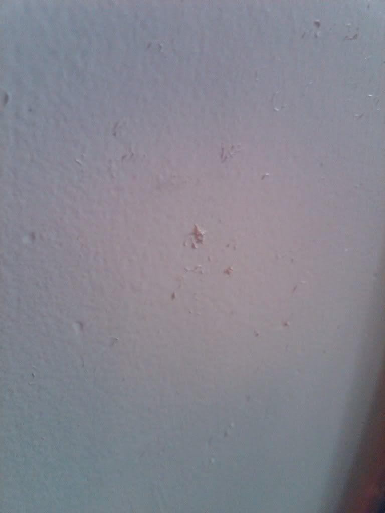 Dimples, Small Clumps In Paint? Painting DIY Chatroom Home