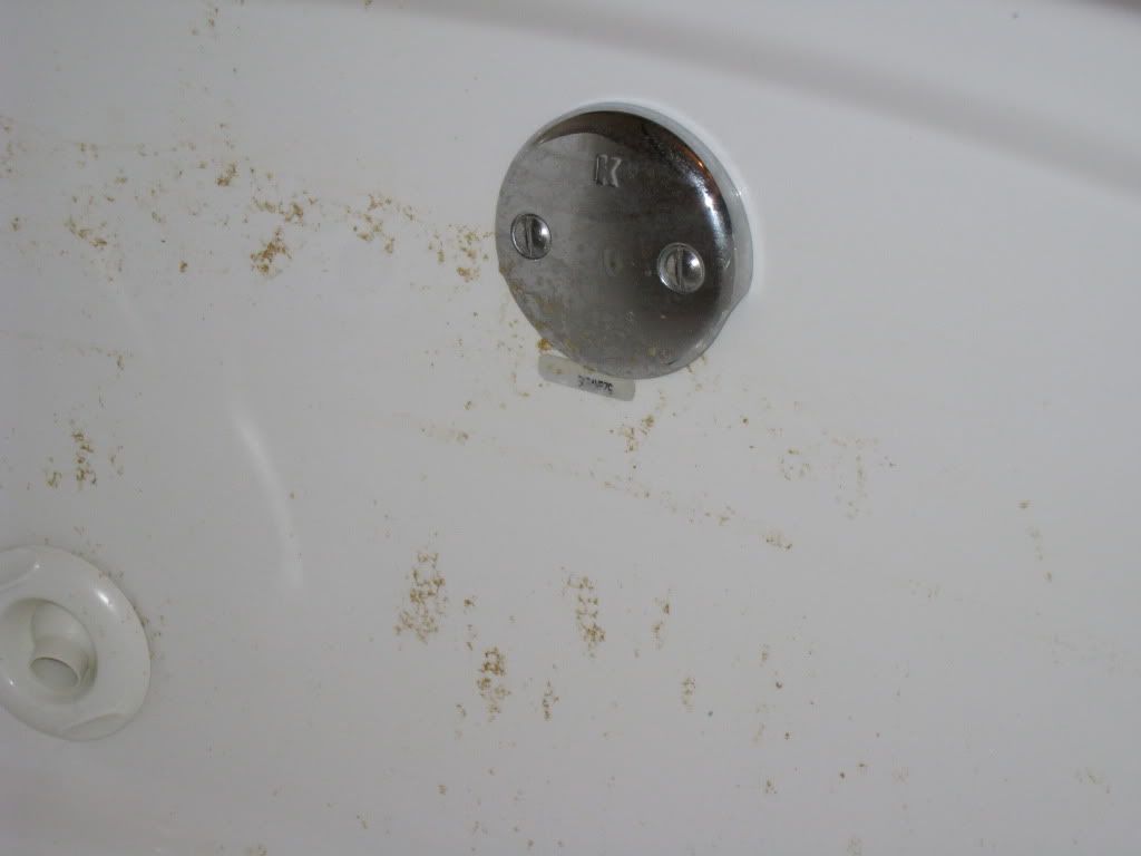 Jet Tubs and Bath Bombs The DIS Disney Discussion Forums