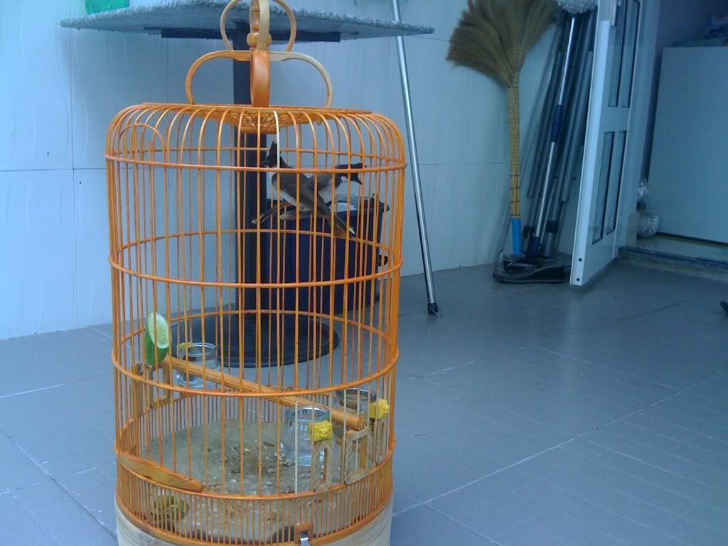 Picture011.jpg