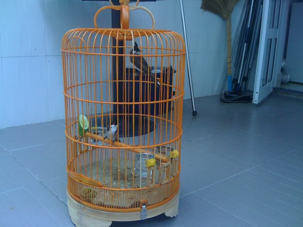 Picture012.jpg