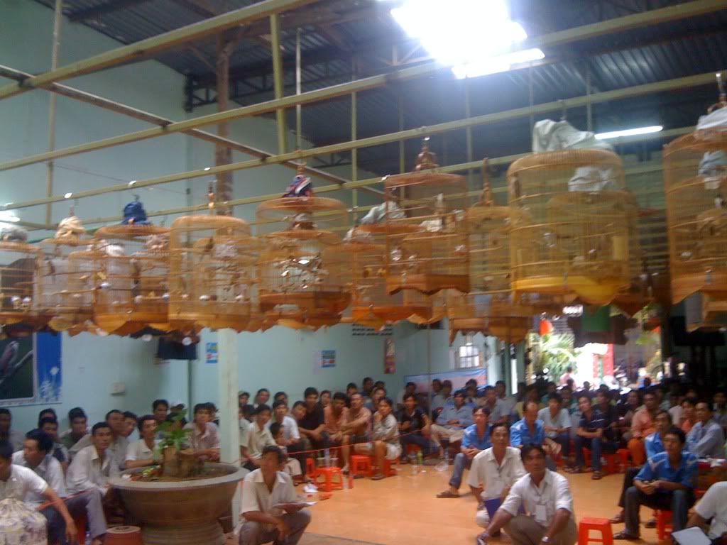 Picture159_zps4820cbac.jpg