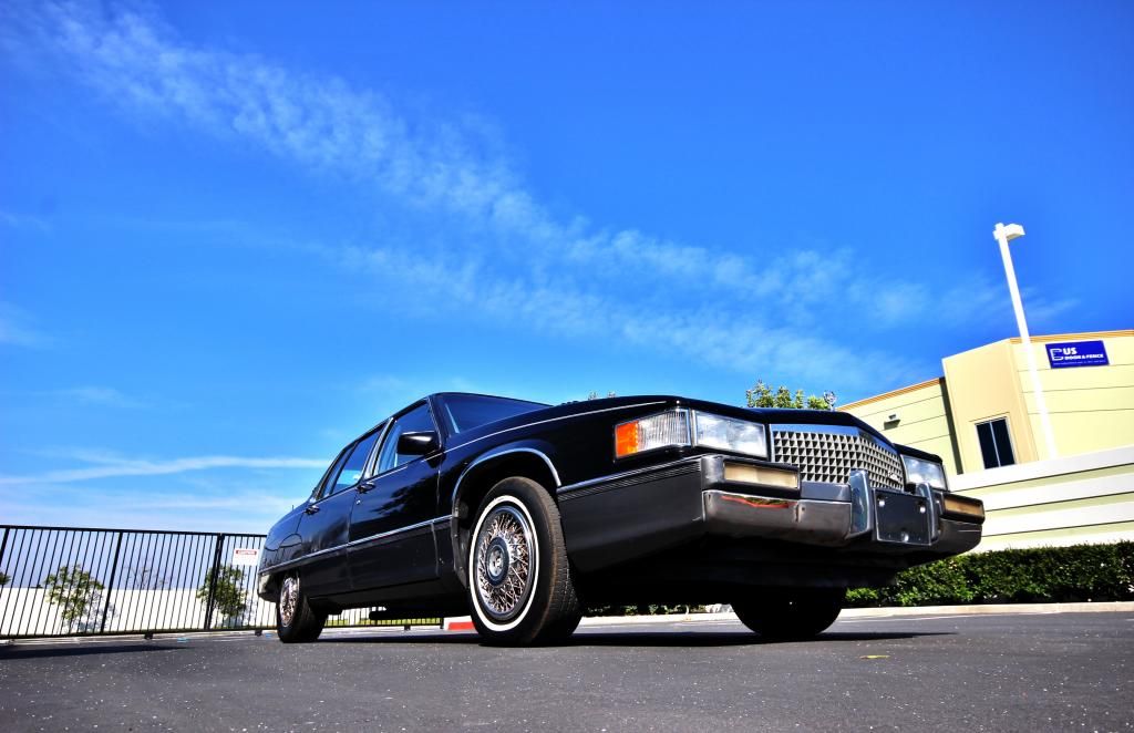  photo IMG_5944_zpsebba4424.jpg