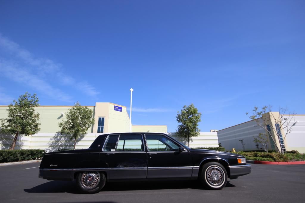  photo IMG_5945_zps7950e9f6.jpg