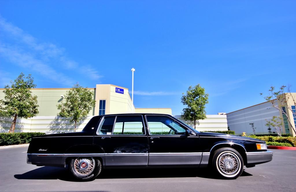  photo IMG_5947_zpsadc2d5ab.jpg