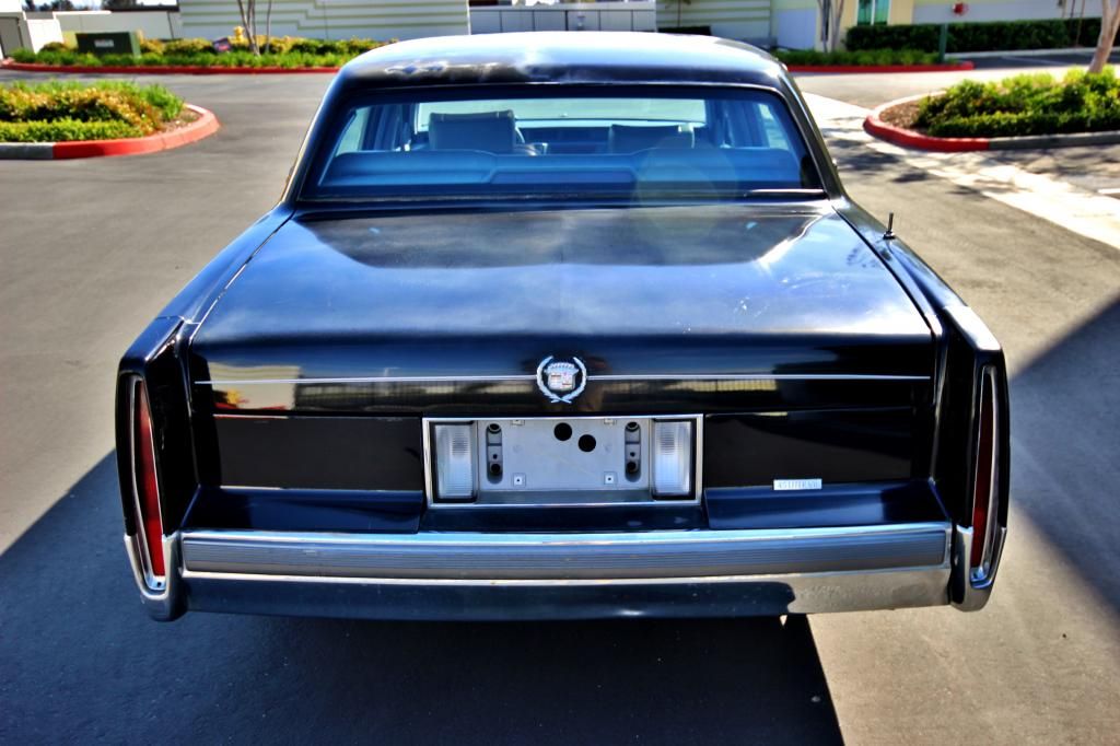  photo IMG_5953_zps8d606d2f.jpg