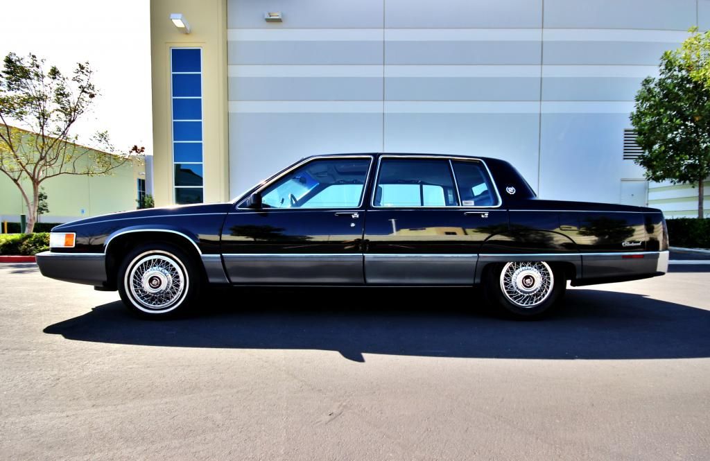  photo IMG_5963_zps795e14c3.jpg