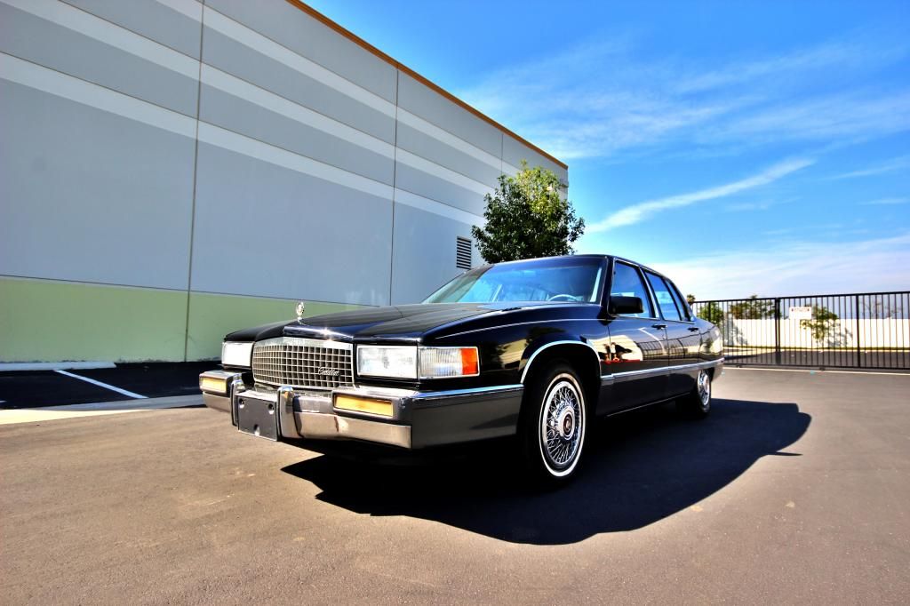  photo IMG_5964_zps36647945.jpg