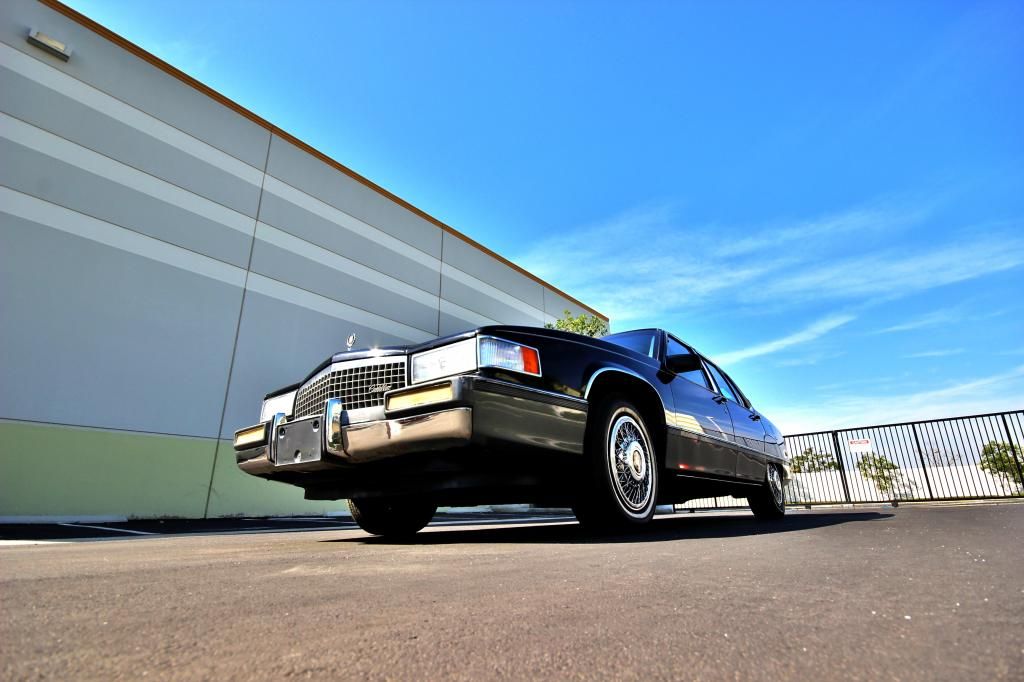  photo IMG_5965_zps6f353b06.jpg