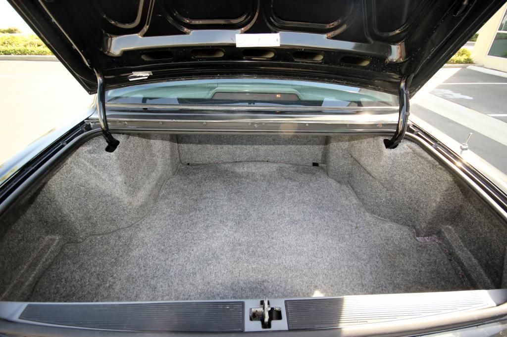  photo IMG_6009_zpsa356069d.jpg