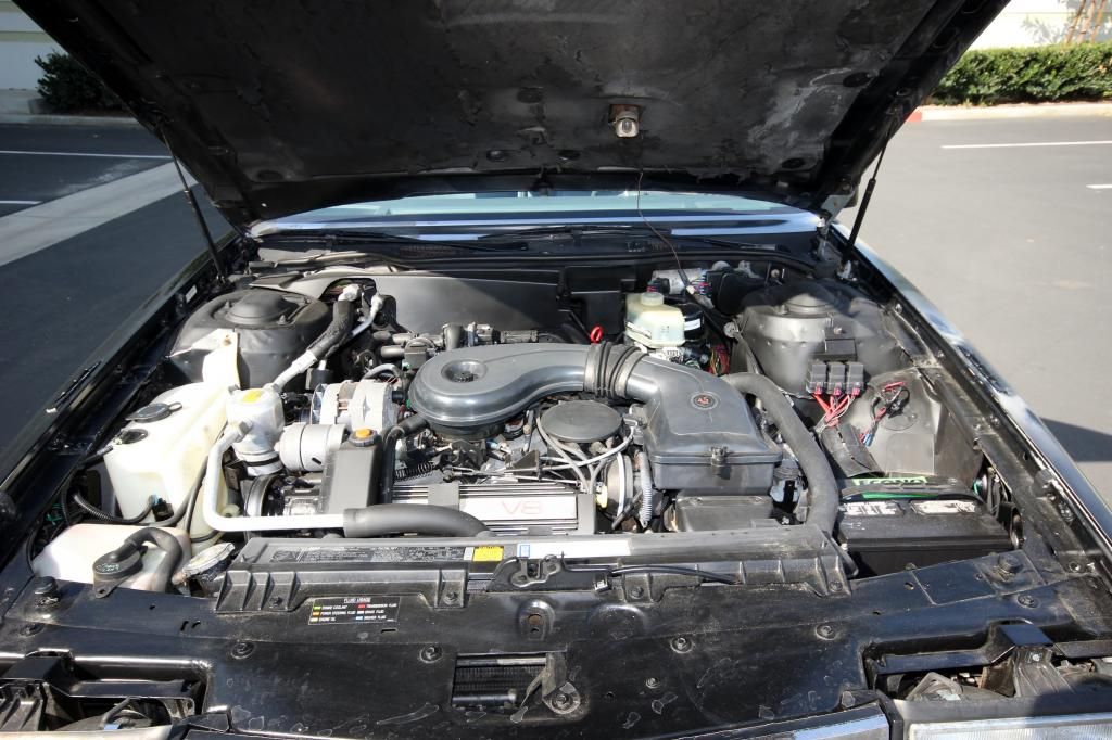  photo IMG_6013_zps23f684df.jpg