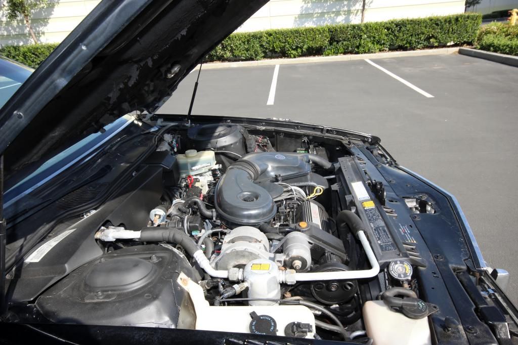  photo IMG_6015_zpsbf48d4c5.jpg