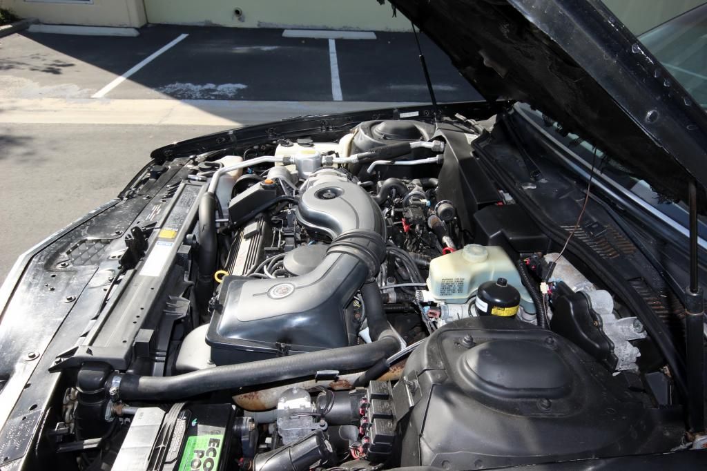  photo IMG_6016_zpsdc90392e.jpg