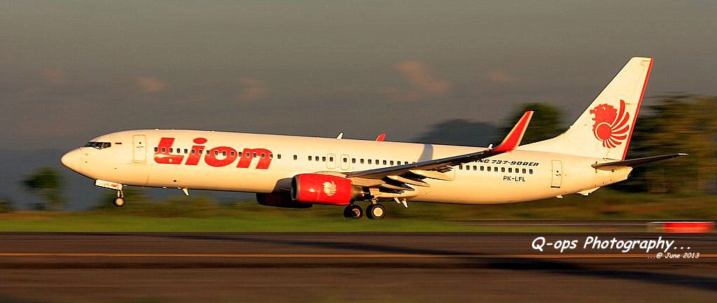 IMAGE: http://i779.photobucket.com/albums/yy77/Q_ops/Aircraft%202013/1-IMG_3641_zps5065b2f5.jpg