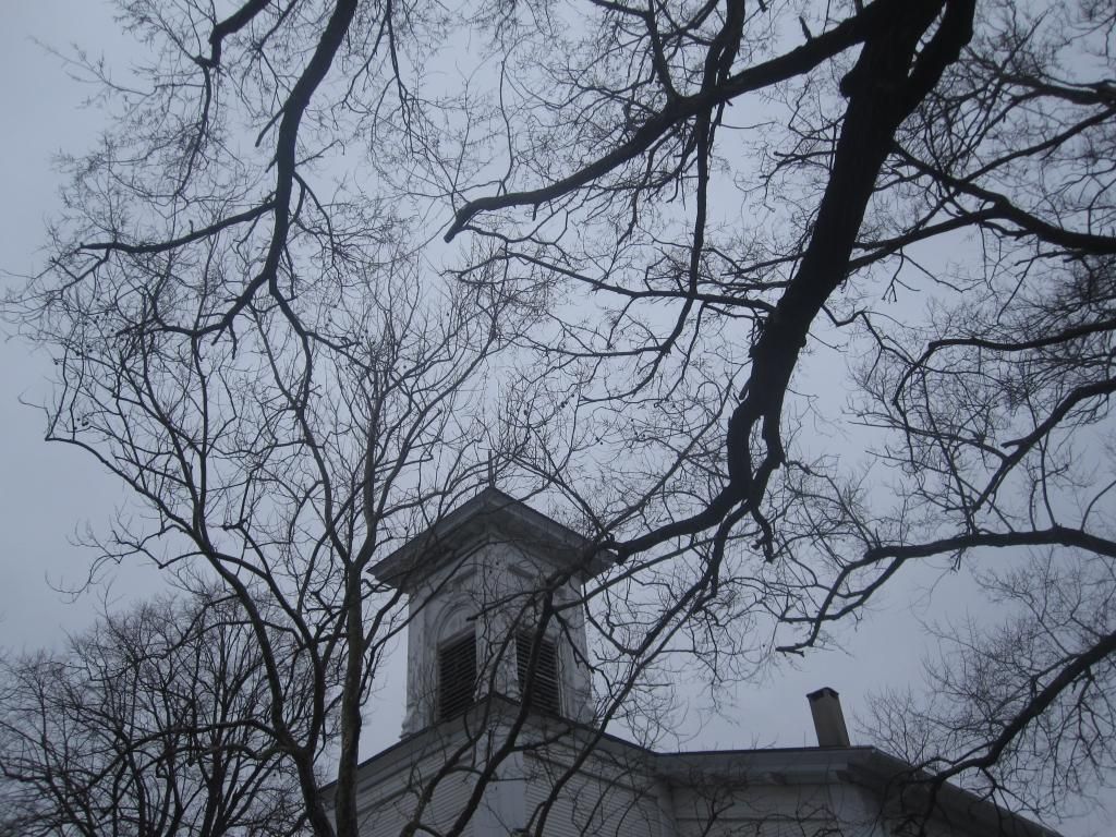photo IMG_7838_zps41c8cb29.jpg