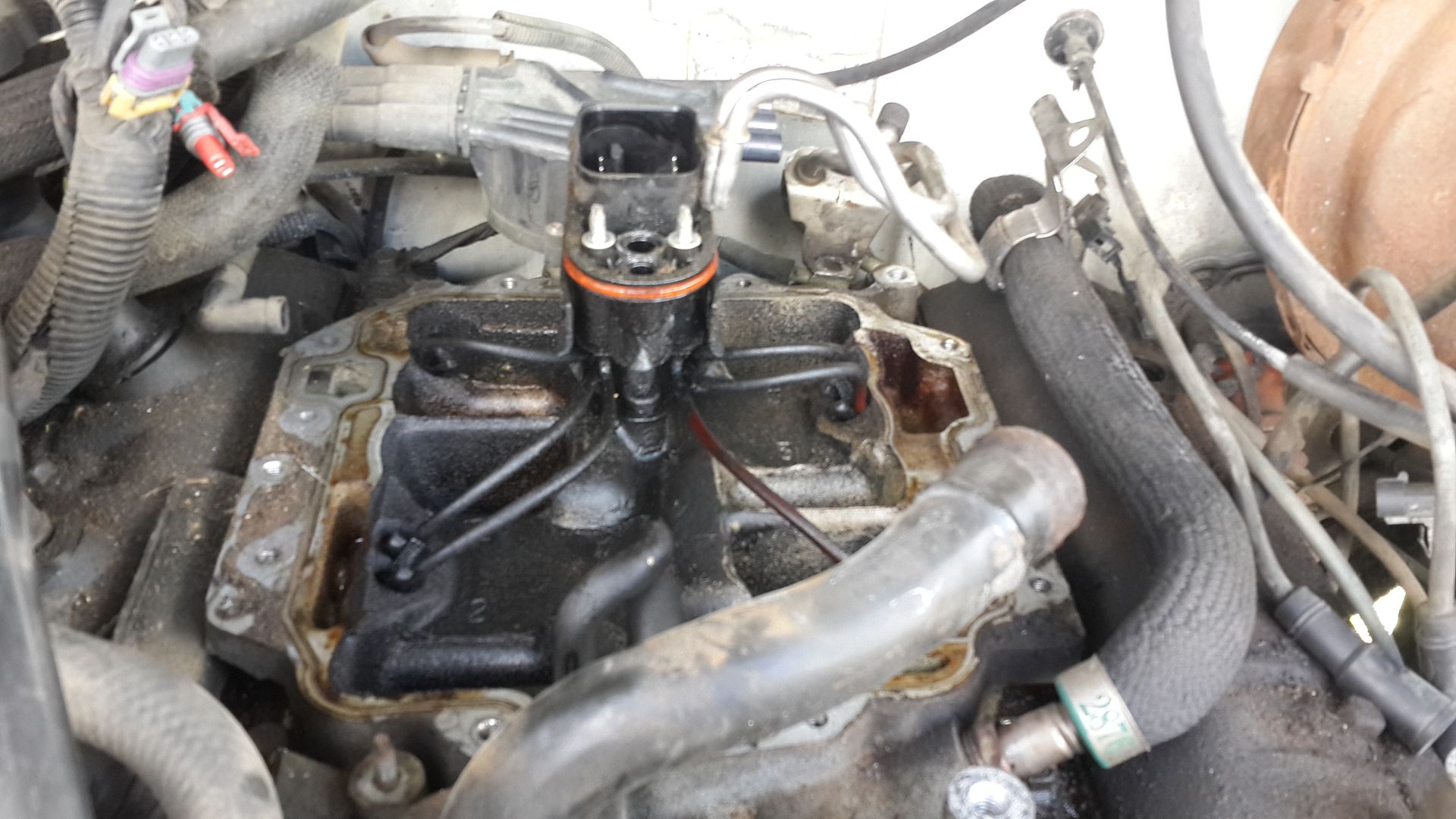 2015 CPI Spider Fuel Injector S10 Forum