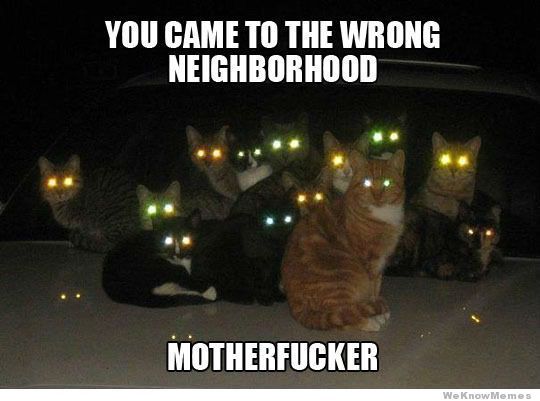 you-came-to-the-wrong-neighborhood.jpg