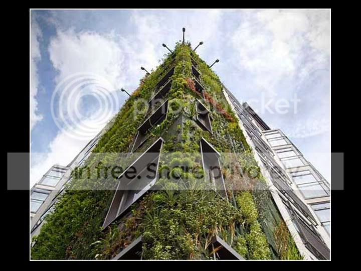 Slide8.jpg
