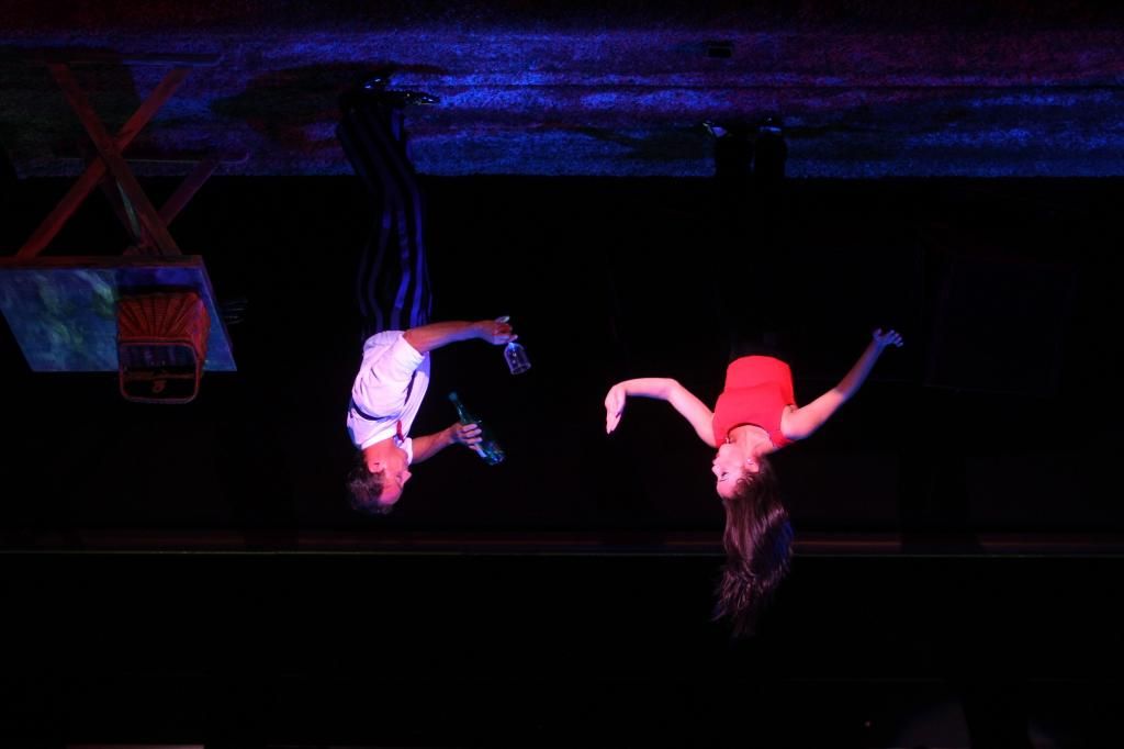  photo upsidedownceilingwalker2_zps949de61f.jpg